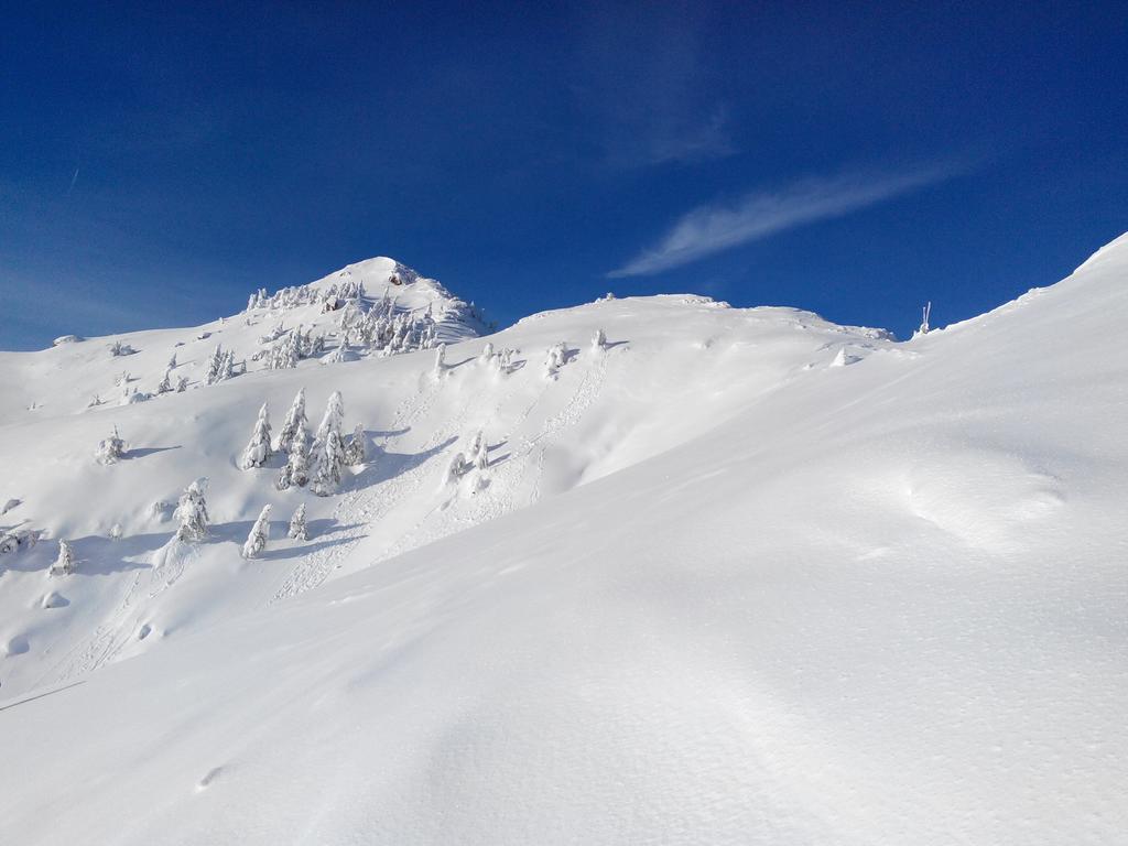 Ski&Bike Nassfeld Apartments Hermagor-Pressegger See Bilik gambar
